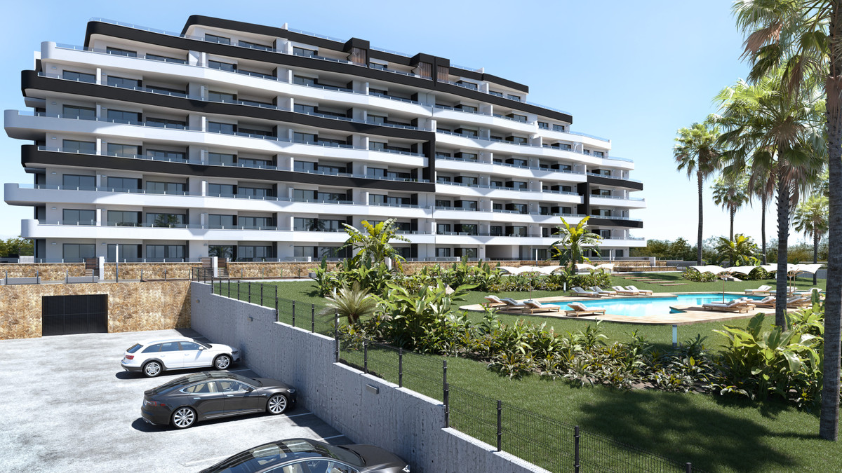 Duly San Miguel de Salinas — 5-3595ad71cbd87be6c3643a4285ef4791.jpg