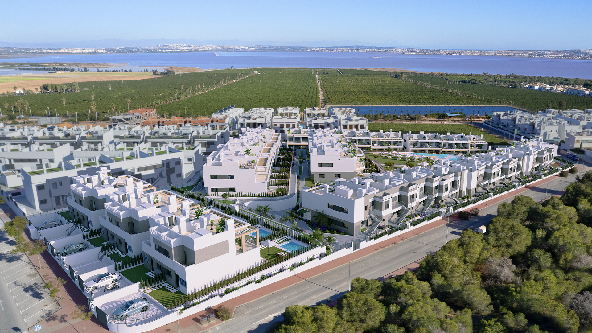Coronella Living by Tm — COB965343.jpg